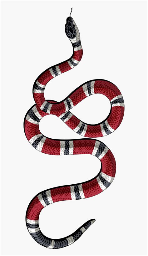 gucci snakes download|Gucci snake drawing.